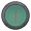 Illuminated pushbutton actuator, RMQ-Titan, Flush, momentary, green, inscribed, Bezel: black thumbnail 4