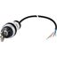 Key-operated actuator, RMQ compact solution, maintained, 1 NC, Cable (black) with non-terminated end, 4 pole, 3.5 m, 2 positions, MS1, Bezel: titanium thumbnail 5