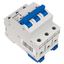 Miniature Circuit Breaker (MCB) AMPARO 10kA, B 20A, 3-pole thumbnail 7