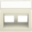 Central plate data 2x RJ oblique output, cream thumbnail 2