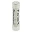 Fuse-link, Overcurrent NON SMD, 7 A, AC 240 V, BS1362 plug fuse, 6.3 x 25 mm, gL/gG, BS thumbnail 14