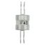 Utility fuse-link, LV, 315 A, AC 415 V, BS88/J, 38 x 110 mm, gL/gG, BS, 82mm fixing centres thumbnail 10