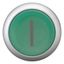 Illuminated pushbutton actuator, RMQ-Titan, Extended, maintained, green, inscribed, Bezel: titanium thumbnail 9