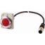 Indicator light, Flat, Cable (black) with M12A plug, 4 pole, 1 m, Lens Red, LED Red, 24 V AC/DC thumbnail 1