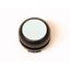 Pushbutton, RMQ-Titan, Flat, maintained, White, Blank, Bezel: black thumbnail 1