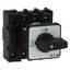 On-Off switch, P1, 40 A, flush mounting, 3 pole + N, with black thumb grip and front plate thumbnail 17