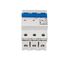 Miniature Circuit Breaker (MCB) AMPARO 10kA, D 32A, 3-pole thumbnail 5