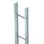SLS 80 C40 11 FT Vertical ladder industrial with C 40 rung 1100x6000 thumbnail 1