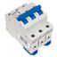 Miniature Circuit Breaker (MCB) AMPARO 10kA, C 25A, 3-pole thumbnail 3