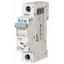 PL7-B2,5/1 Small circuit breaker, 10kA 1p (instead of 278524) thumbnail 1