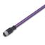 PROFIBUS cable M12B socket straight 5-pole violet thumbnail 1