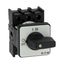 On-Off switch, P1, 25 A, flush mounting, 3 pole, with black thumb grip and front plate thumbnail 32