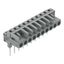 Female connector for rail-mount terminal blocks 0.6 x 1 mm pins angled thumbnail 5