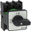 On-Off switch, P1, 32 A, flush mounting, 3 pole, with black thumb grip and front plate thumbnail 18