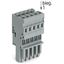 1-conductor female connector CAGE CLAMP® 4 mm² gray thumbnail 4