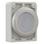 Illuminated pushbutton actuator, RMQ-Titan, Flat, momentary, White, Blank, Metal bezel thumbnail 11