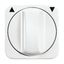 2542 DR-214 CoverPlates (partly incl. Insert) carat® Alpine white thumbnail 2