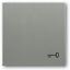 2520 TR-803 CoverPlates (partly incl. Insert) Busch-axcent®, solo® grey metallic thumbnail 1