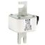 Fuse-link, high speed, 1100 A, AC 1250 V, size 3, 76 x 92 x 139 mm, aR, DIN, IEC, single indicator thumbnail 5