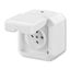 5518-2029 S Double socket outlet with earthing pins, with hinged lids, IP 44 thumbnail 36