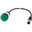 Indicator light, Flat, Cable (black) with M12A plug, 4 pole, 1 m, Lens green, LED green, 24 V AC/DC thumbnail 1