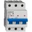 Miniature Circuit Breaker (MCB) AMPARO 10kA, D 50A, 3-pole thumbnail 2