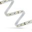 LED STRIP 44W 3528 120LED WW 2 years ECO 1m (roll 5m) without silicone thumbnail 7