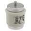 Fuse-link, low voltage, 160 A, AC 500 V, D5, 56 x 46 mm, gL/gG, DIN, IEC, time-delay thumbnail 11