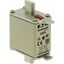 Fuse-link, LV, 160 A, AC 500 V, NH00, gL/gG, IEC, dual indicator, live gripping lugs thumbnail 11