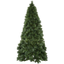 Christmas Tree Cembra thumbnail 1