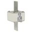 Fuse-link, high speed, 900 A, AC 690 V, size 3, 76 x 76 x 150 mm, aR, IEC, single indicator thumbnail 18