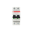 S202M-B10 Miniature Circuit Breaker - 2P - B - 10 A thumbnail 1