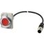 Pushbutton, Flat, maintained, 1 NC, Cable (black) with M12A plug, 4 pole, 1 m, red, Blank, Metal bezel thumbnail 3