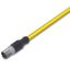 System bus cable M12B plug straight 5-pole yellow thumbnail 1