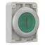 Illuminated pushbutton actuator, RMQ-Titan, Flat, maintained, green, inscribed, Metal bezel thumbnail 7