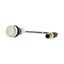 Pushbutton, Flat, momentary, 1 N/O, Cable (black) with M12A plug, 4 pole, 0.2 m, White, Blank, Bezel: titanium thumbnail 12