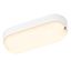 OVALIS LED 5W 3000K 500lm, opal IP65 white thumbnail 1