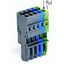 1-conductor female connector CAGE CLAMP® 4 mm² gray/blue/green-yellow thumbnail 2