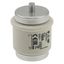 Fuse-link, low voltage, 160 A, AC 500 V, D5, 56 x 46 mm, gL/gG, DIN, IEC, time-delay thumbnail 22