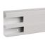 OptiLine 45 - installation trunking - 165x55 mm - PVC - polar white - 2000 mm thumbnail 2