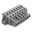 1-conductor female connector CAGE CLAMP® 2.5 mm² gray thumbnail 4