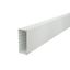 WDK60150LGR Wall trunking system with base perforation 60x150x2000 thumbnail 1