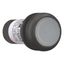 Illuminated pushbutton actuator, Flat, momentary, 1 N/O, Screw connection, LED white, White, Blank, 120 V AC, Bezel: black thumbnail 13