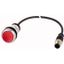 Illuminated pushbutton actuator, Flat, momentary, 1 NC, Cable (black) with M12A plug, 4 pole, 1 m, LED Red, red, Blank, 24 V AC/DC, Bezel: titanium thumbnail 1