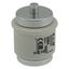 Fuse-link, low voltage, 200 A, AC 500 V, D5, 56 x 46 mm, gR, DIN, IEC, fast-acting thumbnail 19