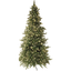 Christmas Tree w LED Vancouver thumbnail 1