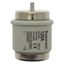 Fuse-link, low voltage, 125 A, AC 500 V, D5, 56 x 46 mm, gR, DIN, IEC, fast-acting thumbnail 6