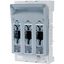 NH fuse-switch 3p box terminal 35 - 150 mm², busbar 60 mm, light fuse monitoring, NH1 thumbnail 6