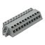 1-conductor female connector, angled CAGE CLAMP® 2.5 mm² gray thumbnail 2