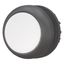 Pushbutton, RMQ-Titan, Flat, maintained, White, Blank, Bezel: black thumbnail 6